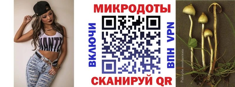 Псилоцибиновые грибы мухоморы  Купить закладки  Белогорск 
